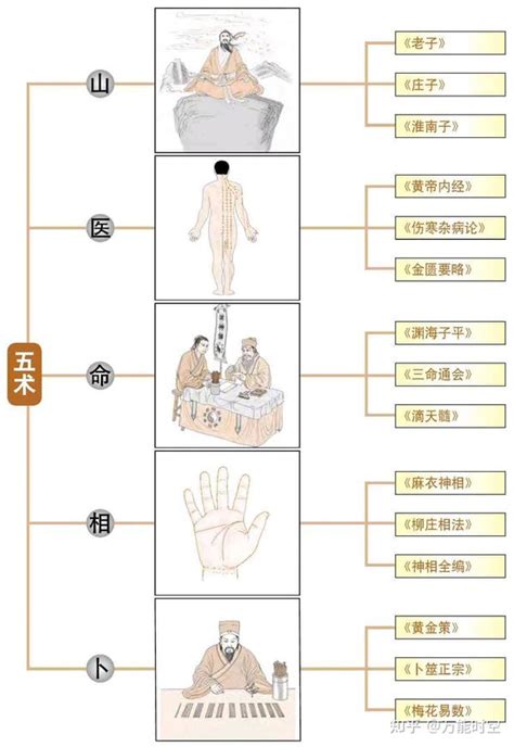 山医命卜相|五术